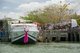 Thailand: Pak Bara, Tarutao speedboat and tourists